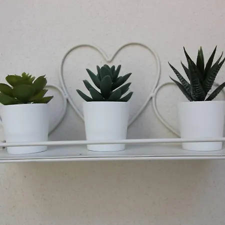 Tra Maggiore E D'orta Fuoco Colazza