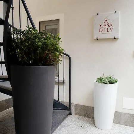 Tra Maggiore E D'orta Fuoco