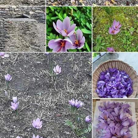 Lejlighed Tra Maggiore E D'orta Fuoco *