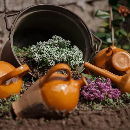 Tra Maggiore E D'orta Fuoco アパート