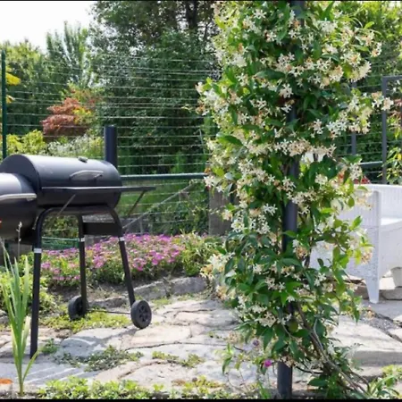 Tra Maggiore E D'orta Fuoco Colazza